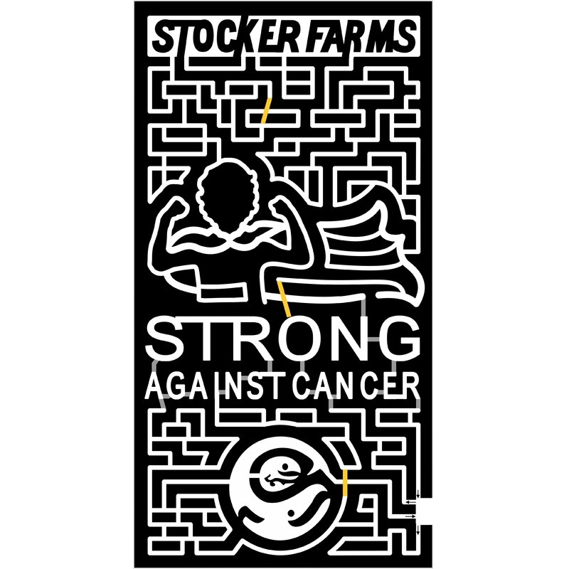 15_WA_Snohimish 2015, Washington, Snohomish, Stocker Farms, Strong Against Cancer Logo, Whale, Fish, Cape, Person, Seattle Childrens Hospital, kid