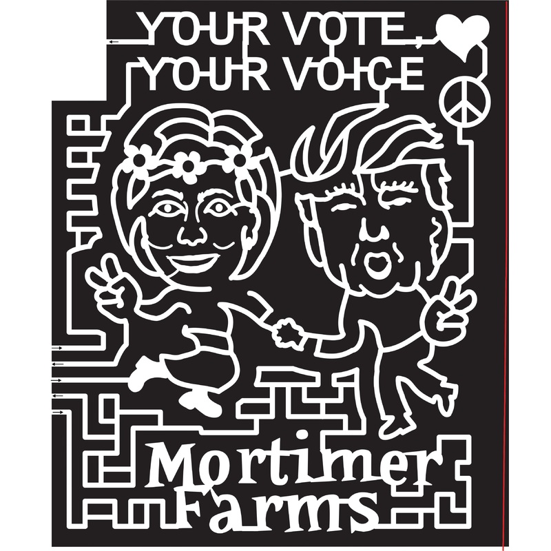 16_AZ_Dewey, 2016, Arizona, Dewey, peace, heart, dance, trump, hillary, Mortimer farms, election, voice, vote, peace sign,flower, flower