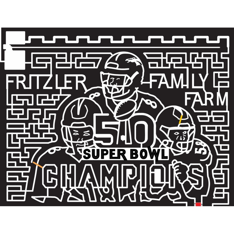 16_CO_LaSalle, 2016, Colorado, football, sports, broncos, denver, helmet, football, logo, super bowl, trophy, Fritzler farm, champion