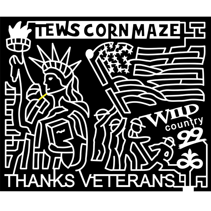 16_MN_Winona, 2016, Minnesota, patriotic, america, veterans, sstatue of liberty, liberty, flag, logo, pioneer logo