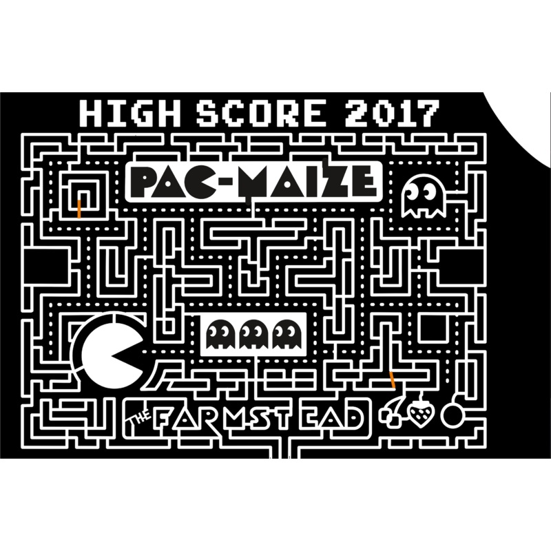 2017  17_ID_Maridian, game, pacman, cherry, strawberry, pac, .jpg