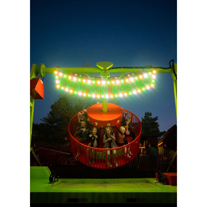Pumpkin Basher Swinging Spinning Ride
