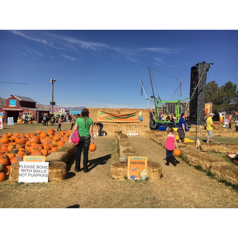 Pumpkin Bowling