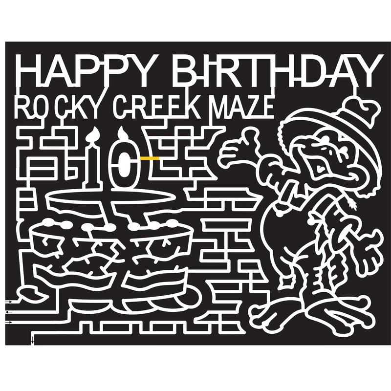 16_TX_Moulton, 2016, Texas,birthday cake, cake, candle, 10, duck, animal, bird