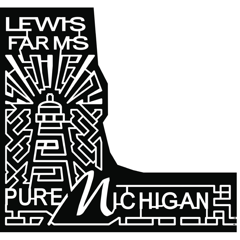2017 17_MI_NewEra, light house, michigan.jpg