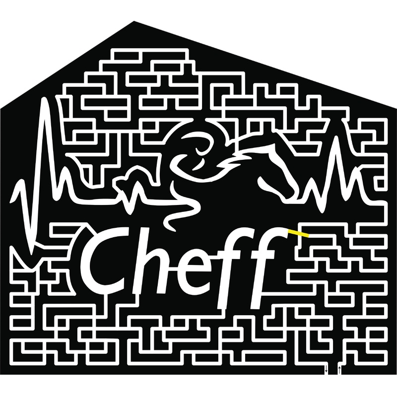 2017 17_MI_Richland, horse, cheff, heart beat.jpg