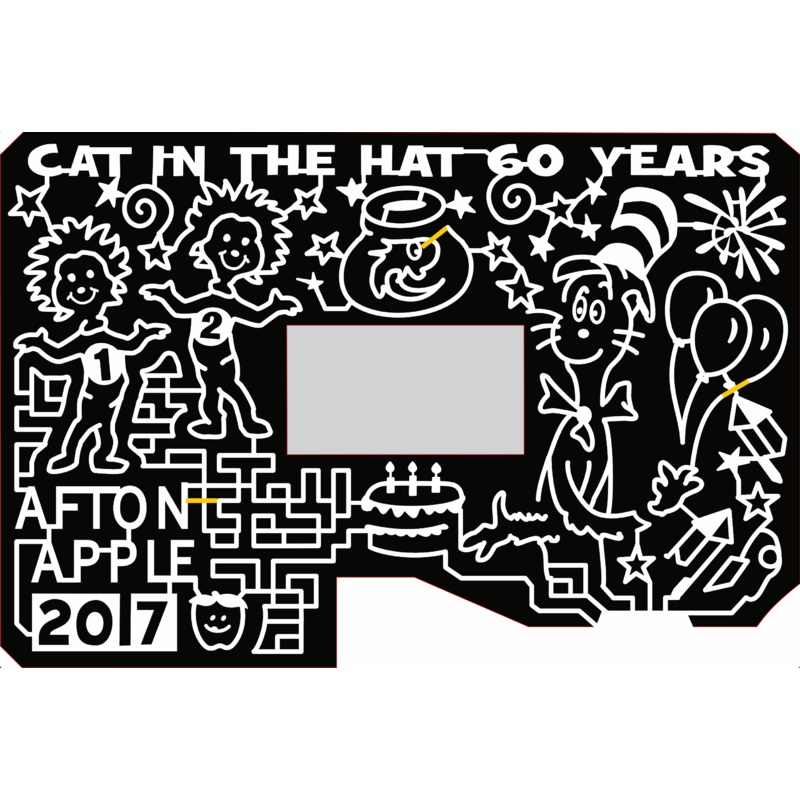 2017 17_MN_Hastings, cat in the hat, Dr Seuss, applen birthday, birthday cake, cake, firworks, ballon, stars, party, thing 1, thing 2, fish, fish bowl, fish tank, bowl.jpg