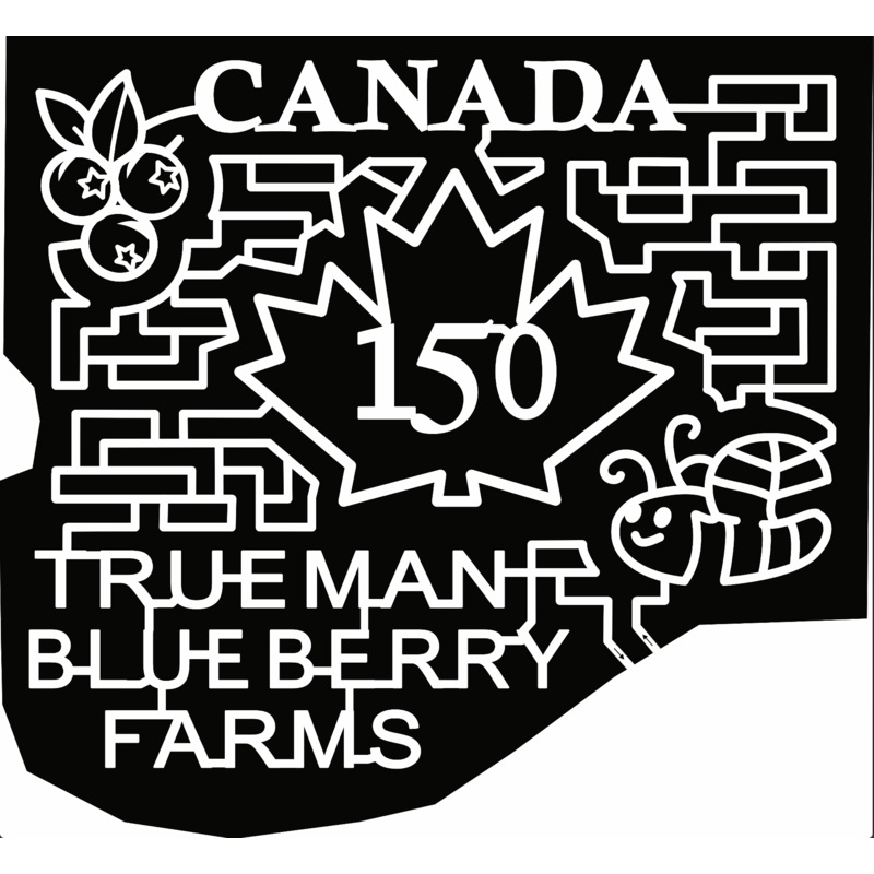 2017 17_NB_Aulac, canada, leaf, canada leaf, bug, insect, berries, fruit, blueberry.jpg