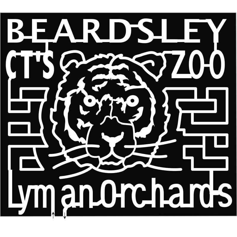 18_CT_Middlefield Sunflowerbeardsely CT’s zoo lyman orchards tiger