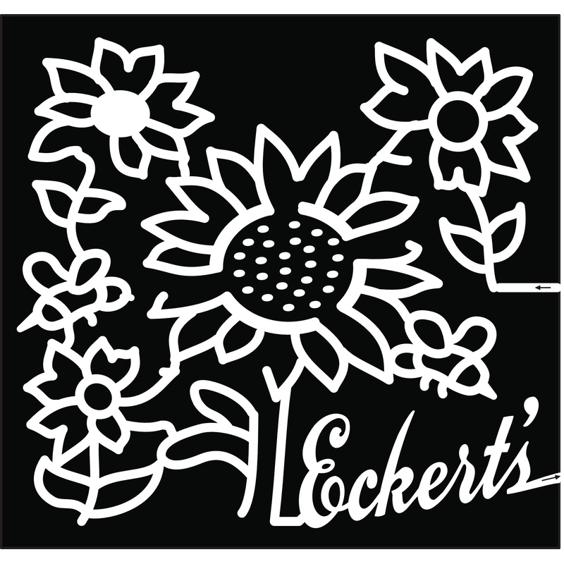 18_IL_Belleville sunflowers eckert’s flower bee