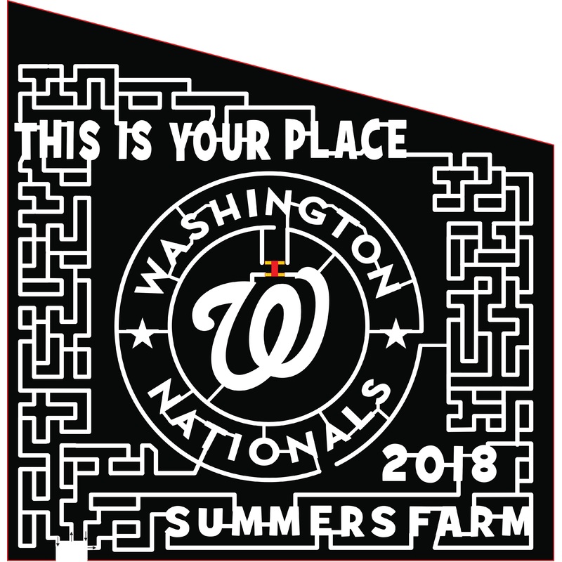 18_MD_Fredrick this is your place summers farm 2018 washington nationals W star stars