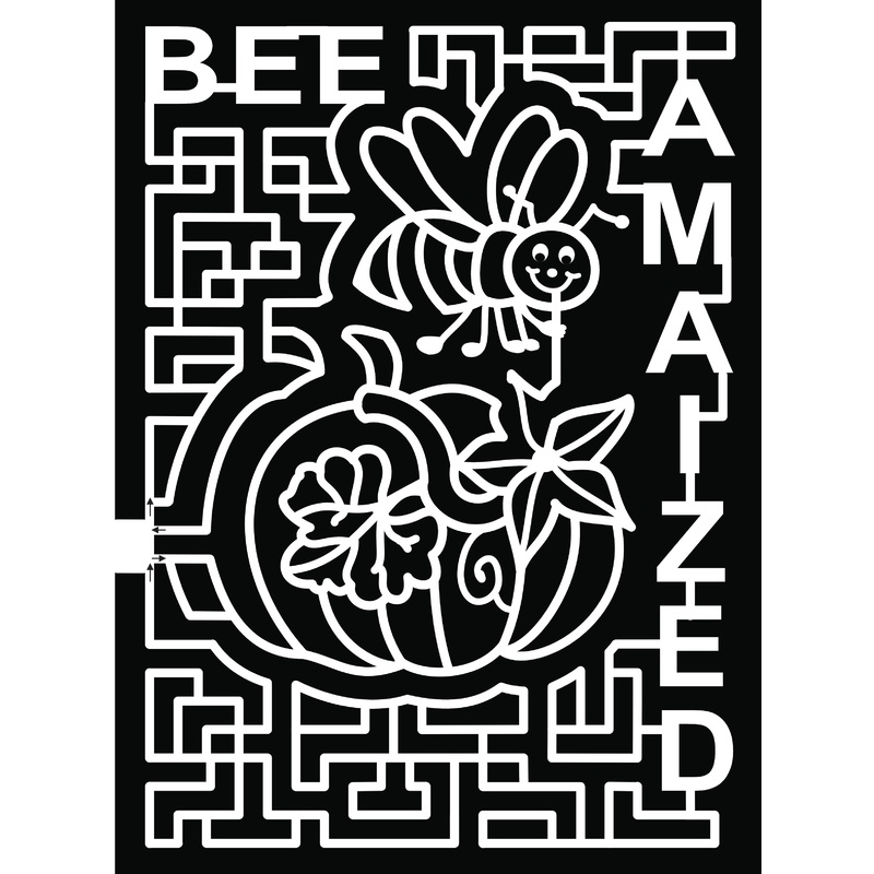 18_MO_Barnard Bee Amazed pumpkin leaf flower stem