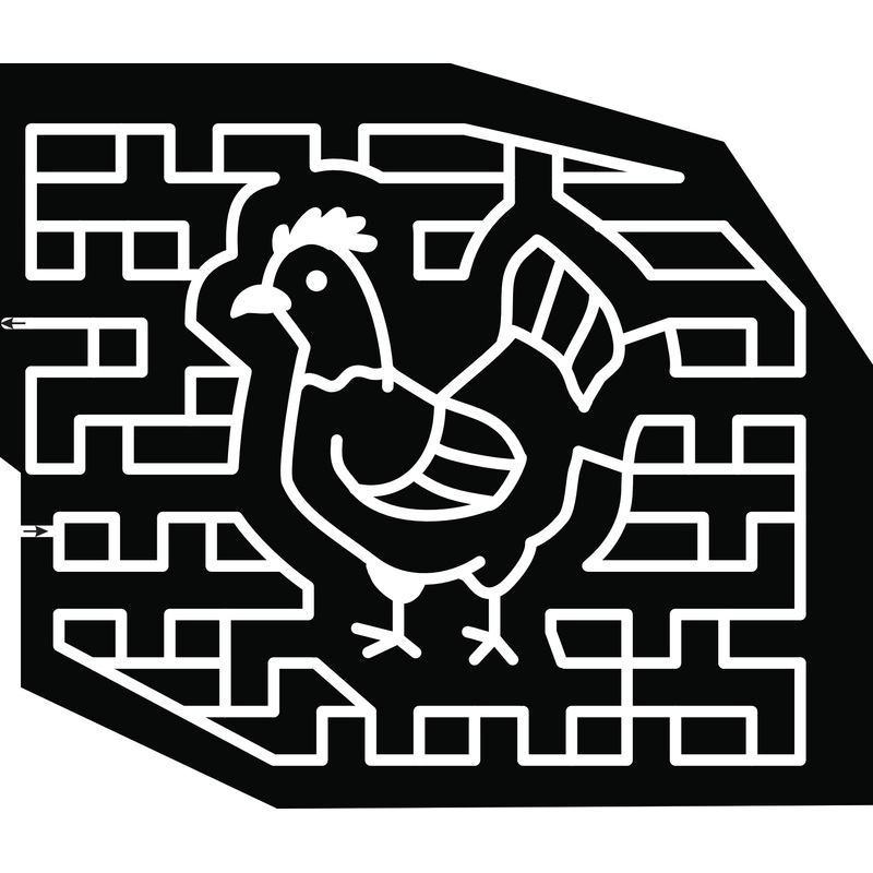 18_MS_Hernando chicken rooster