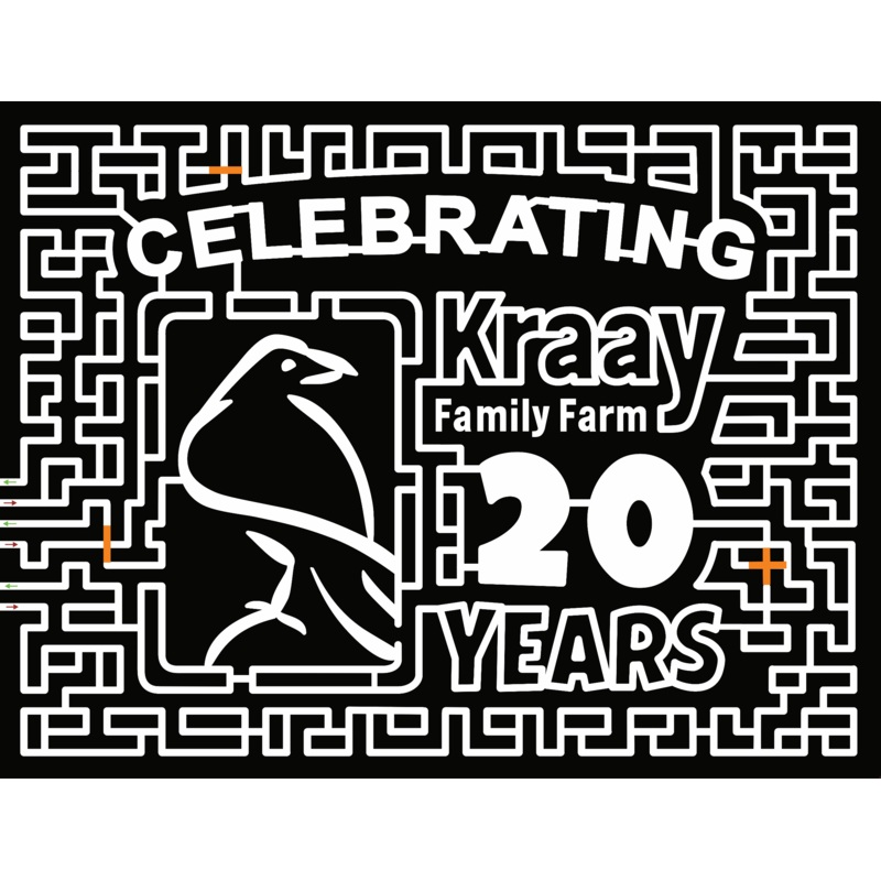 19_AB_Lacombe crow hawk kraay family farm 20 years bird.jpg