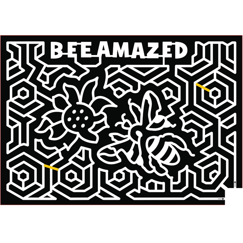 2017 17_TN_Memphis, bee, beehive, bug,  insect, honey, honey comb, flower.jpg