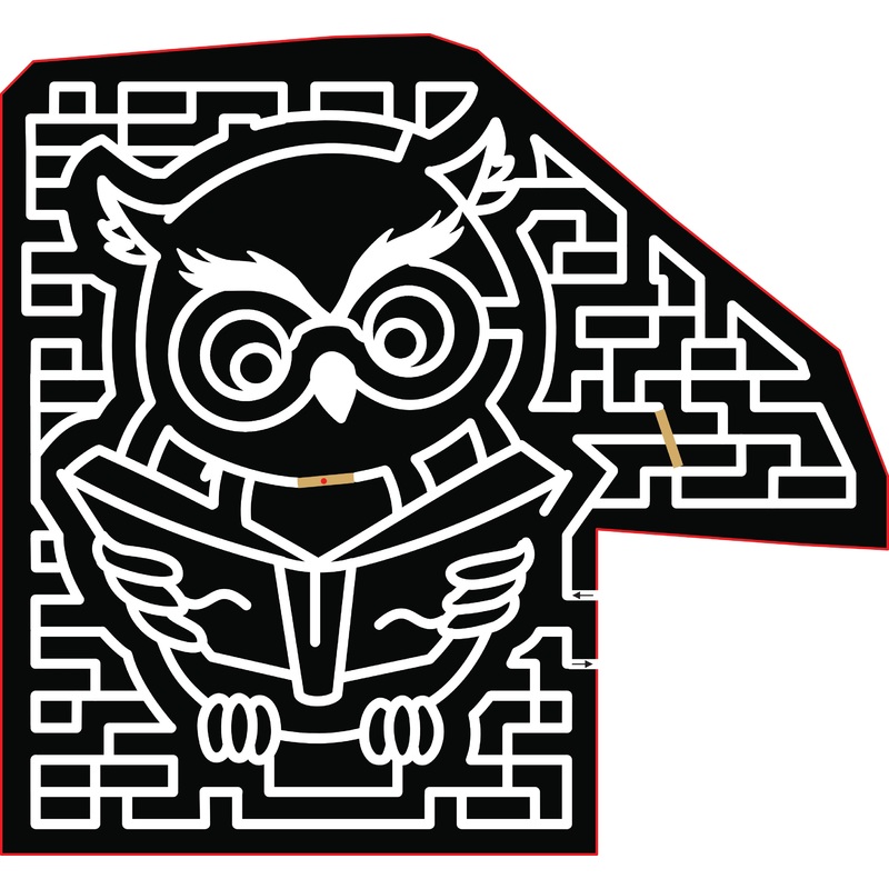 2017 17_VA_Harrisonburgh, owl, animal, book, reading.jpg