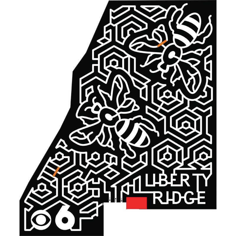 18_NY_Schaghticoke liberty ridge 6 bees bee honeycomb  news