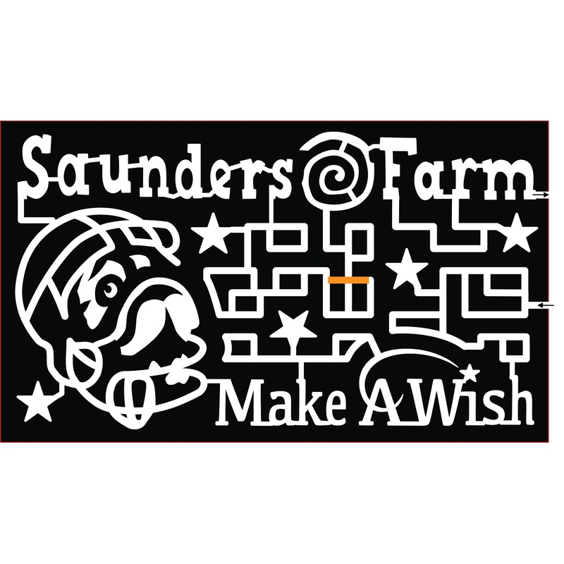 18_ONT_Munster saunders farm make a wish dog football helmet stars