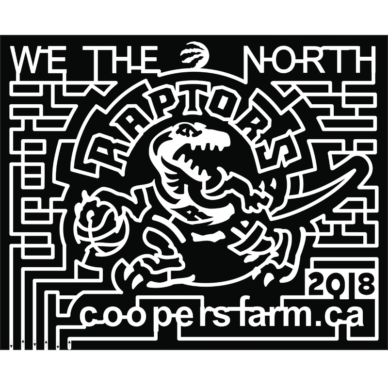 18_ONT_Zephyr we the north raptors coopers farm basketball 2018