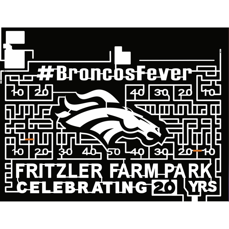 19_CO_LaSalle broncos fever bronco denver football field fritzlet farm park horse stallion.jpg