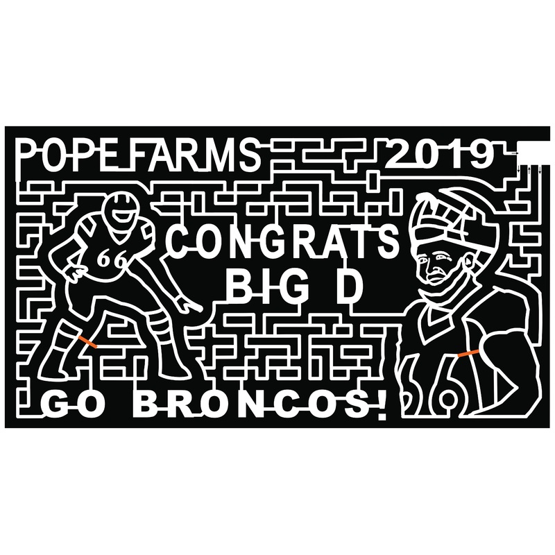 19_CO_Wiggins a broncos denver bronco 66 big d helmet football football player.jpg