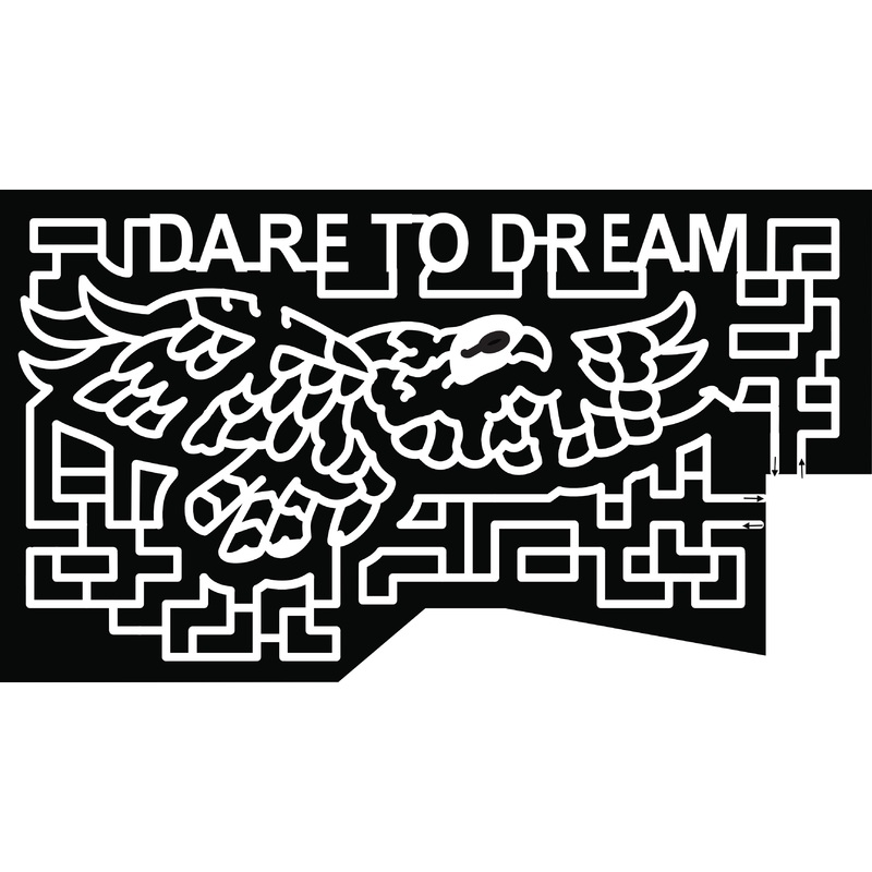 19_GA_McDonough dare to dream eagle bald eagle.jpg