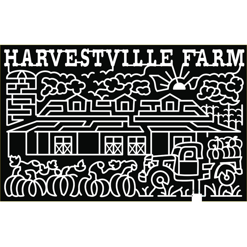 19_IA_Donnellson clouds sun birds silo barn farm pumpkin vines grass truck vines.jpg