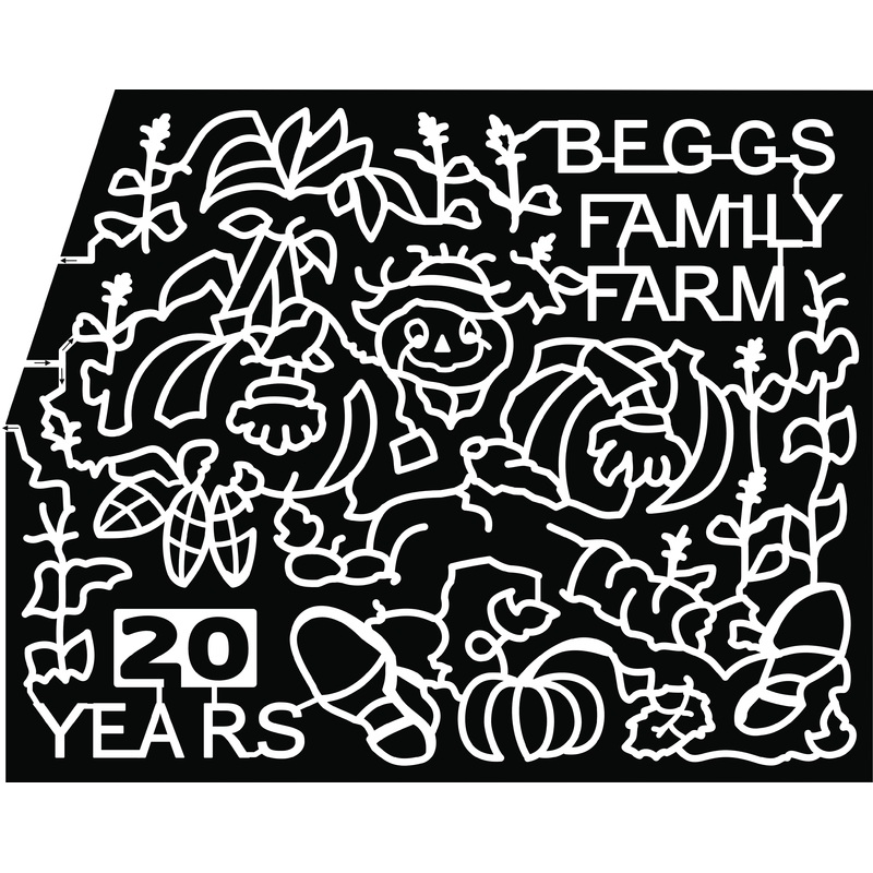 19_MO_Sikeston beggs family farm scarecrow pumpkins corn ears corn stalks cob 20 years.jpg