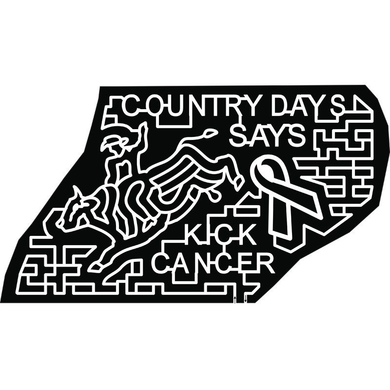 19_NC_Charlotte kick cancer breast cancer ribbon bull riding rider cowboy hat cow.jpg