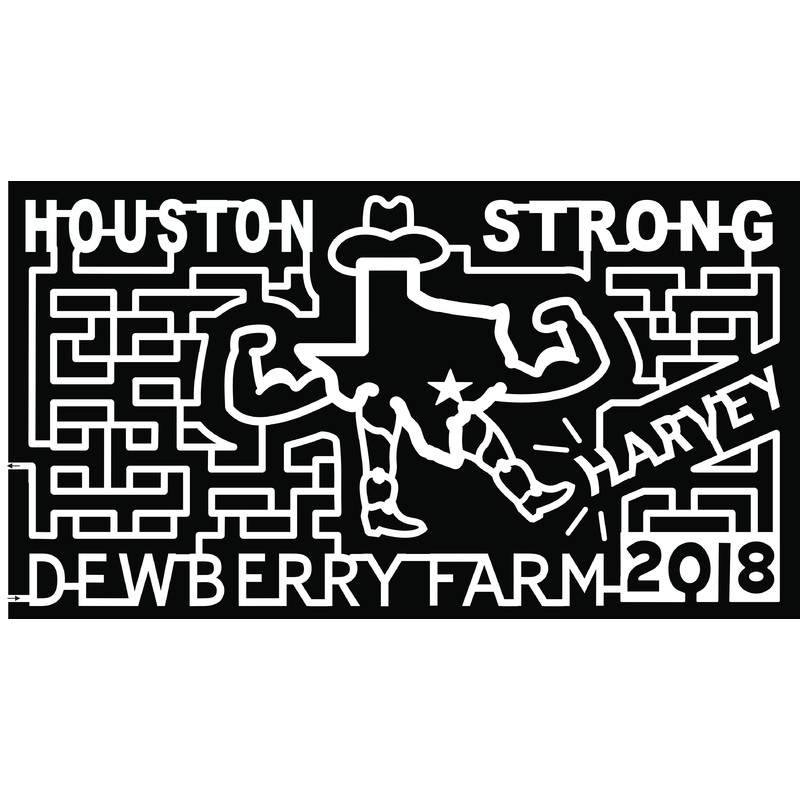 18_TX_Brookshire texas state start harvey houston strong cowboy hat arms legs dewberry farm
