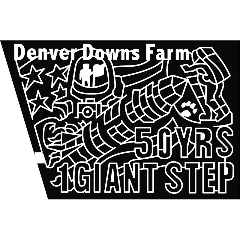 19_SC_Denverdowns_Pendleton denver downs farm moon landing 50 years space ship astranaut american flag space.jpg