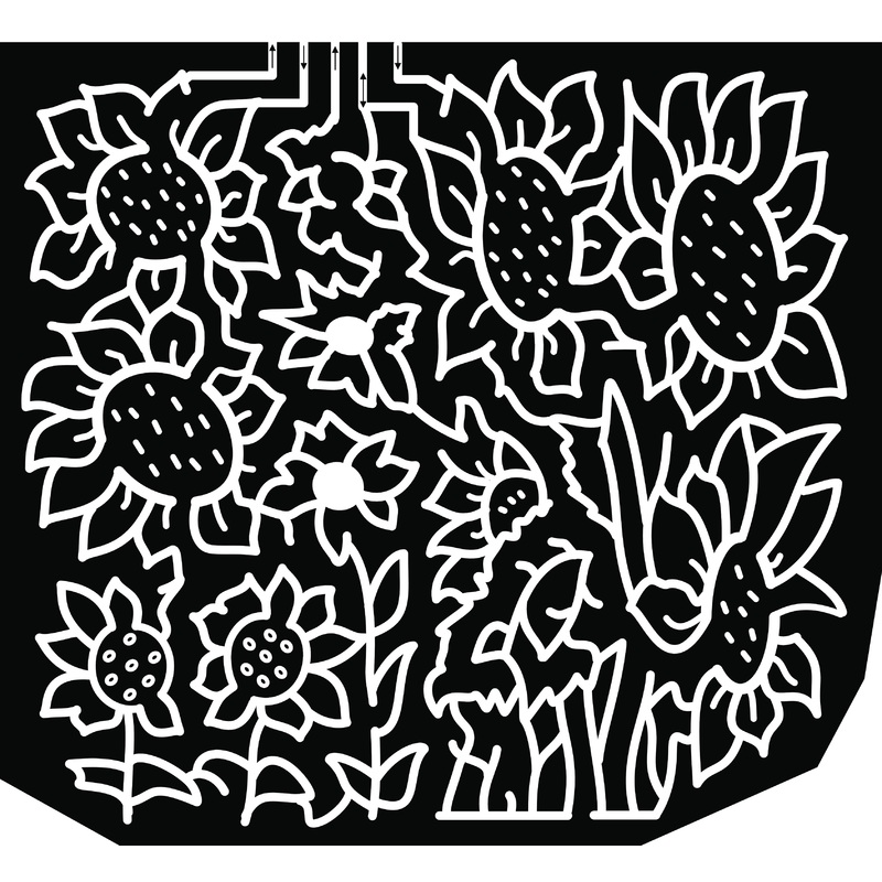19_SC_Enoree sunflowers flower.jpg