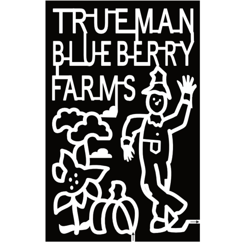 24_NB_Aulac Trueman Blueberry Farms, Scarecrow, Cloud, Flower, Pumpkin