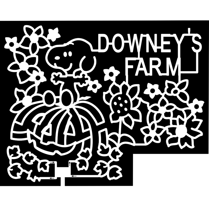 24_ONT_Caledon Snoopy, Downeys Farm, Pumpkin, Flower