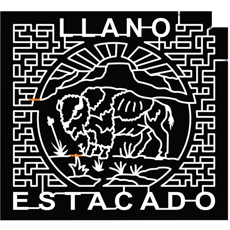 24_TX_Lubbock, Llano Estacado, Buffalo, Mountain, Sun, Desert