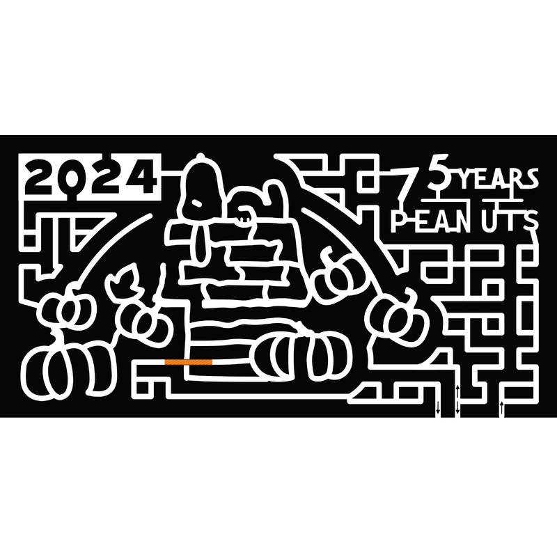 24_TX_San Angelo, Snoopy, Peanuts, 75 Years, 2024, Pumpkin
