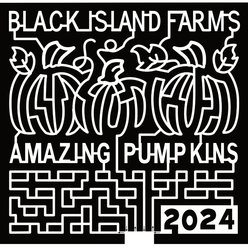24_UT_Layton, Black Island Farms, Amazing Pumpkins, 2024, Pumpkin