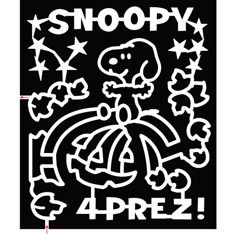 24_UT_Washington, Snoopy 4 Prez, Pumpkin, Leaves, Star