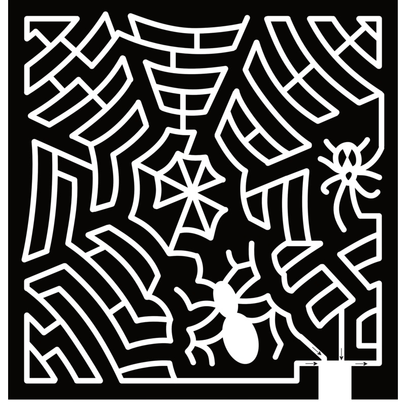 24_WI_Fond Du Lac, Spider Web, Spider
