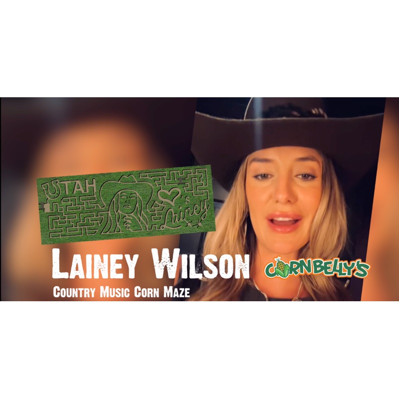 Lainey Video Customization