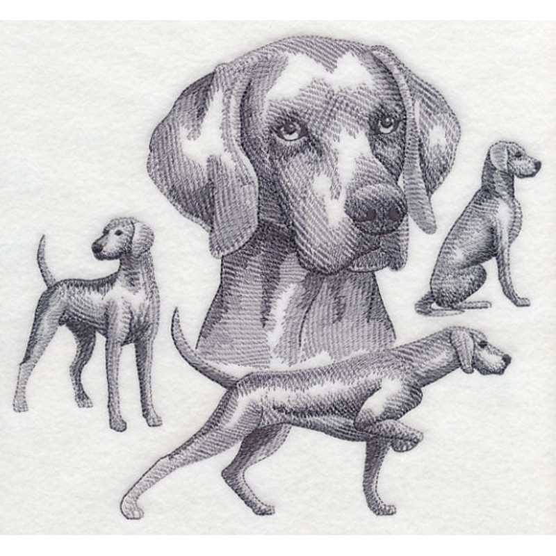 Weimaraner Sketch|6.9″ x 7.69″ / 175.25mm x 195.21mm|5.83″ x 6.49″ / 148.07mm x 164.93mm|4.83″ x 5.38″ / 122.7mm x 136.72mm|All Sizes