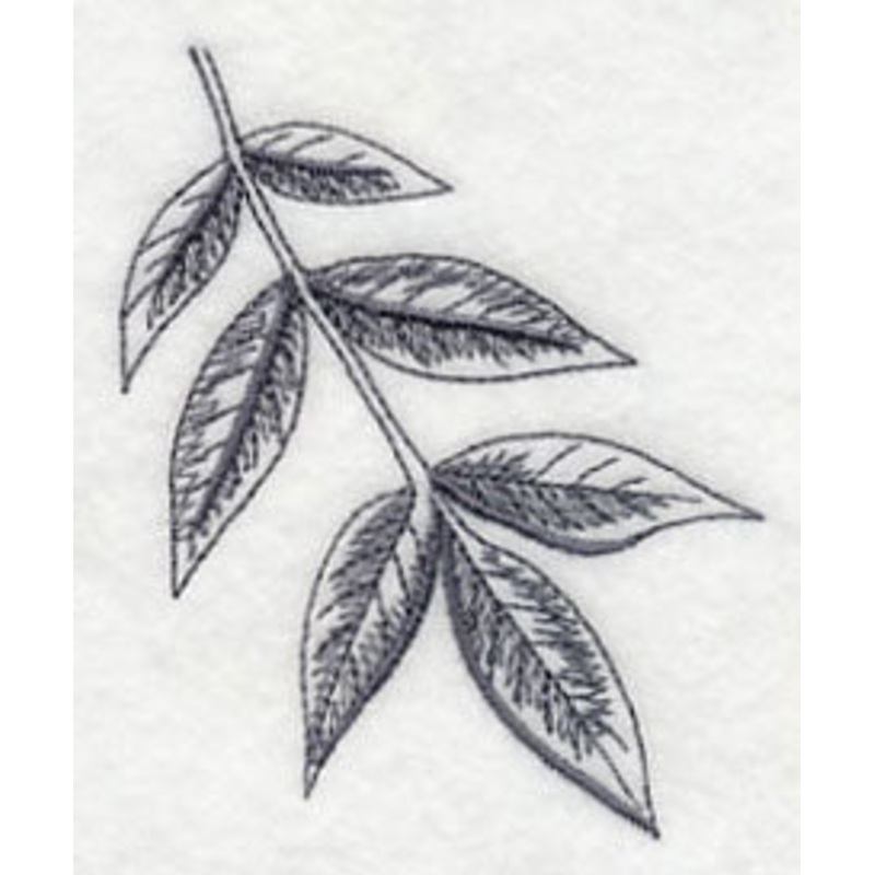 Ash Leaf|3.45″ x 2.85″ / 87.53mm x 72.42mm|2.43″ x 2.01″ / 61.69mm x 51.01mm|All Sizes