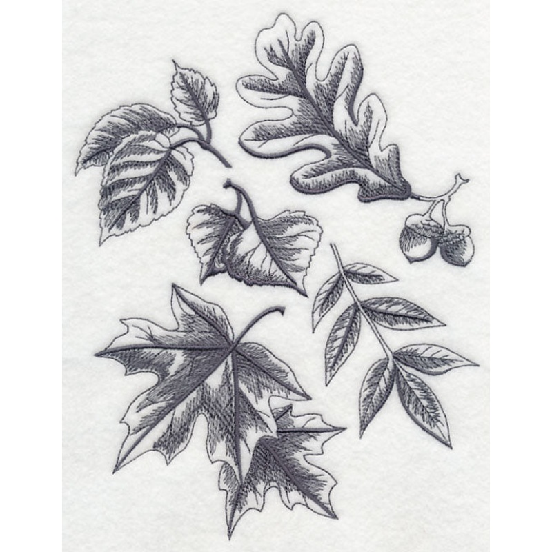 Autumn Leaf Medley|8.87″ x 6.9″ / 225.27mm x 175.22mm|7.53″ x 5.86″ / 191.37mm x 148.81mm|6.25″ x 4.86″ / 158.75mm x 123.41mm|All Sizes