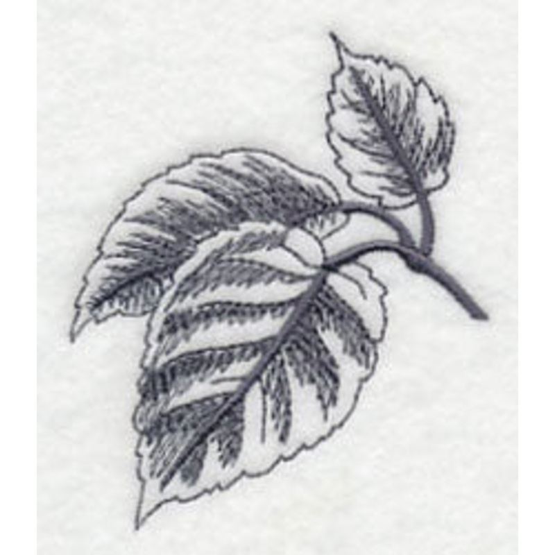 Birch Leaf|3.17″ x 2.67″ / 80.53mm x 67.71mm|2.23″ x 1.88″ / 56.72mm x 47.74mm|All Sizes