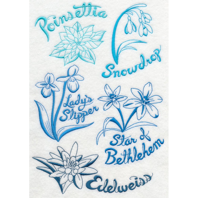 Winter Garden Collage|10.02″ x 6.91″ / 254.38mm x 175.51mm|8.49″ x 5.86″ / 215.75mm x 148.83mm|7.77″ x 5.36″ / 197.24mm x 136.08mm|6.85″ x 4.73″ / 174.11mm x 120.15mm|All Sizes