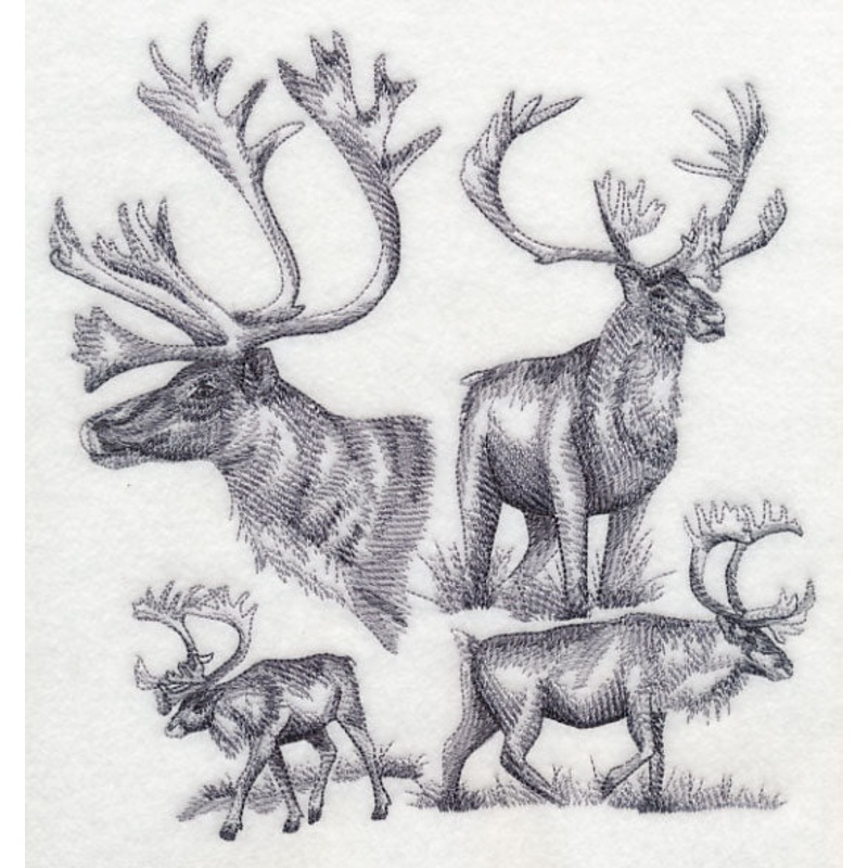 Caribou Sketch|7.78″ x 7.22″ / 197.72mm x 183.41mm|6.31″ x 5.85″ / 160.3mm x 148.7mm|5.23″ x 4.86″ / 132.88mm x 123.43mm|All Sizes