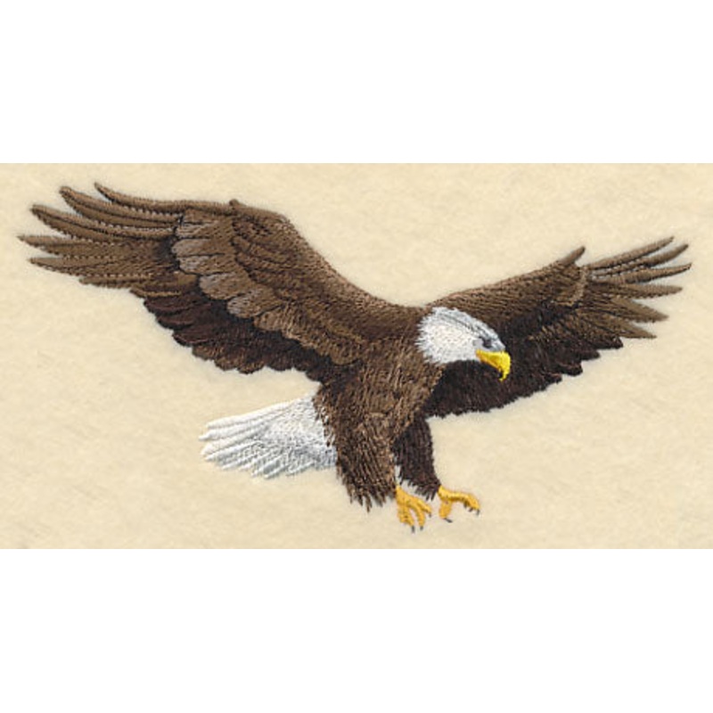 Bald Eagle in Flight|3.32″ x 6.14″ / 84.3mm x 156.06mm|2.09″ x 3.86″ / 52.96mm x 97.92mm|All Sizes