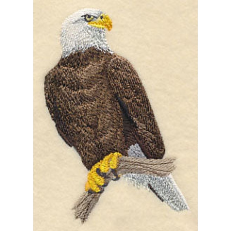 Bald Eagle Perching 1|4.28″ x 2.75″ / 108.67mm x 69.83mm|3.02″ x 1.94″ / 76.73mm x 49.26mm|All Sizes
