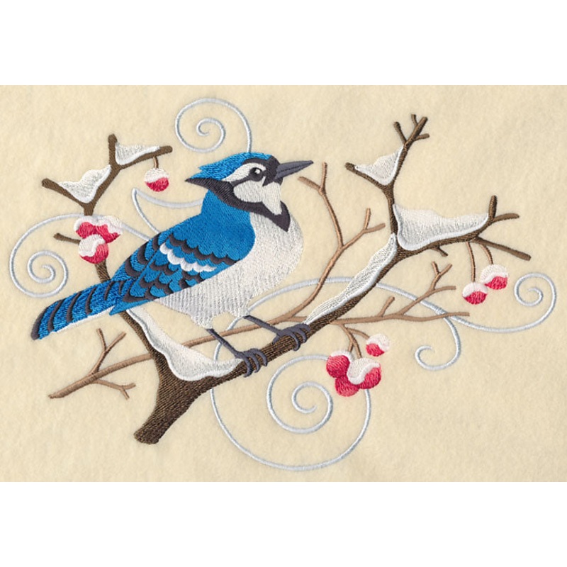 Blue Jay and Winter Branch Spray
