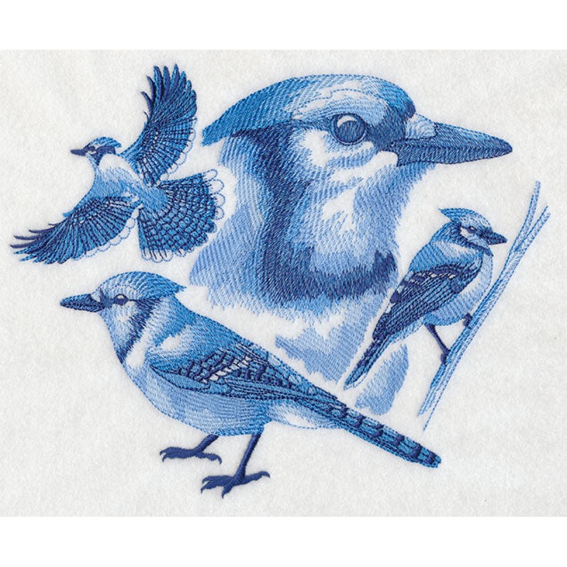 Blue Jay Sketch|6.91″ x 8.54″ / 175.58mm x 216.89mm|5.86″ x 7.24″ / 148.91mm x 183.93mm|4.83″ x 5.97″ / 122.75mm x 151.6mm|All Sizes